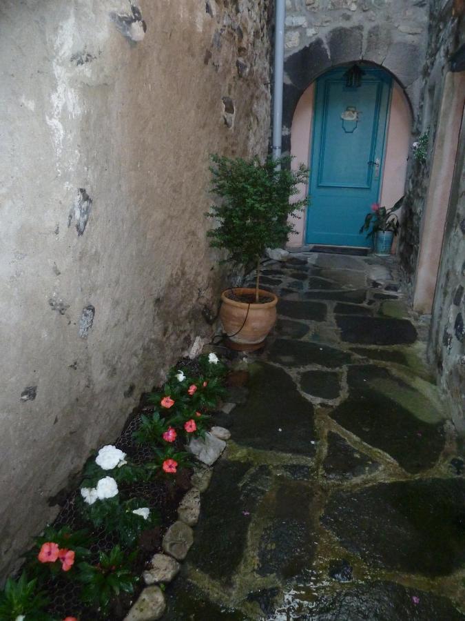 Bed and Breakfast Les Hibiscus Saint-Jean-le-Centenier Экстерьер фото