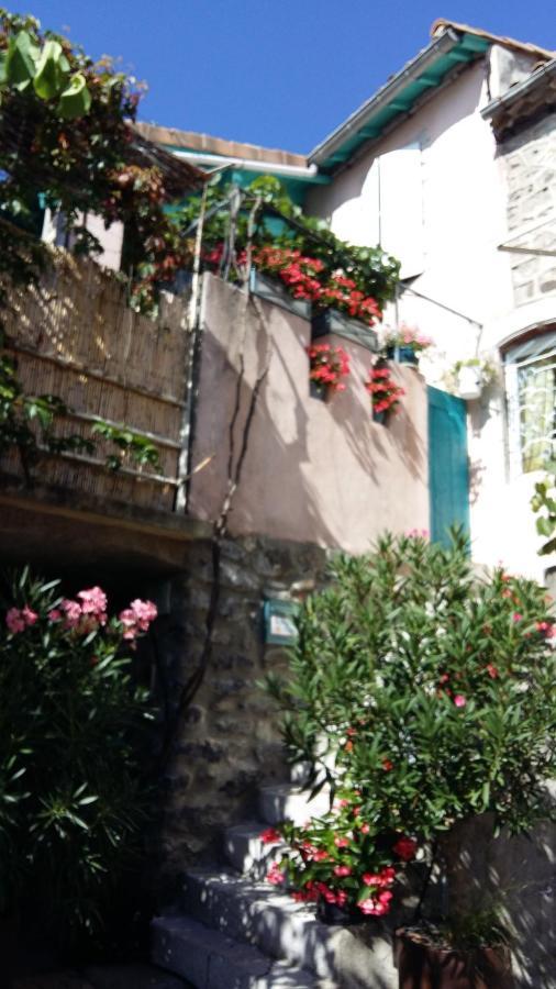 Bed and Breakfast Les Hibiscus Saint-Jean-le-Centenier Экстерьер фото